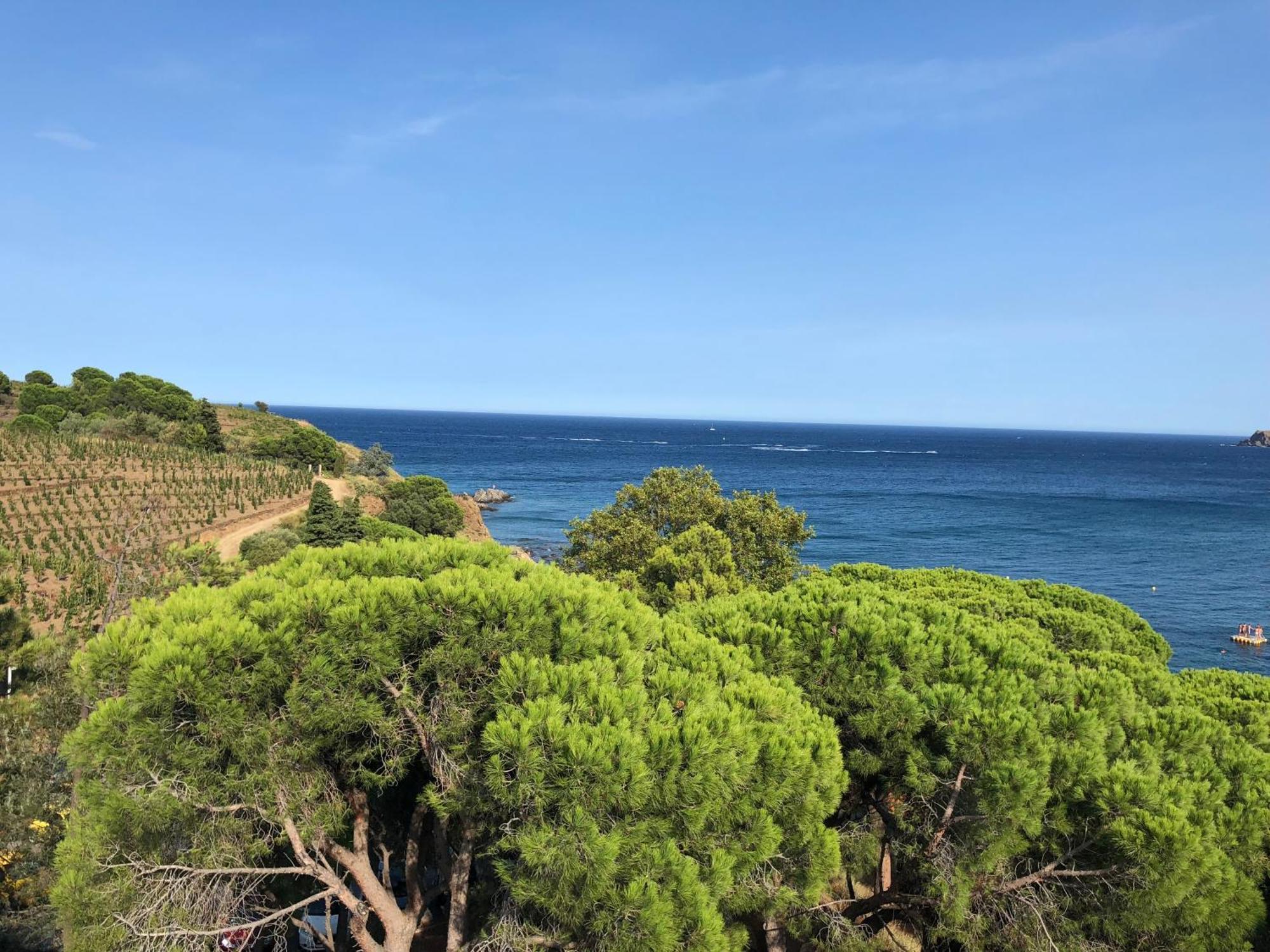 Camping Le Rancho Argelès-sur-Mer Eksteriør bilde